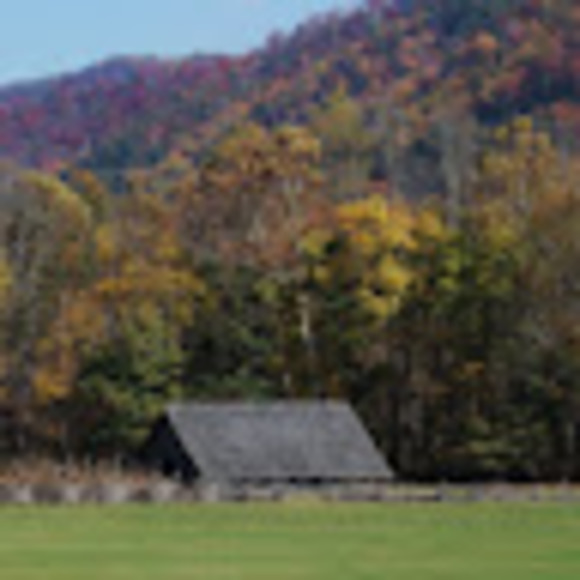 Meet your Posher, Barbara - Picture 1 of 1